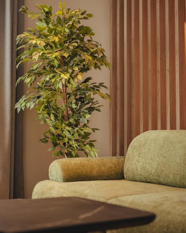 Green velvet sofa and indoor tree in lounge corner